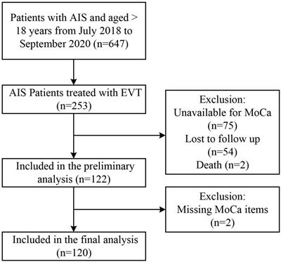 Short-term Montreal Cognitive Assessment predicts functional outcome after endovascular therapy